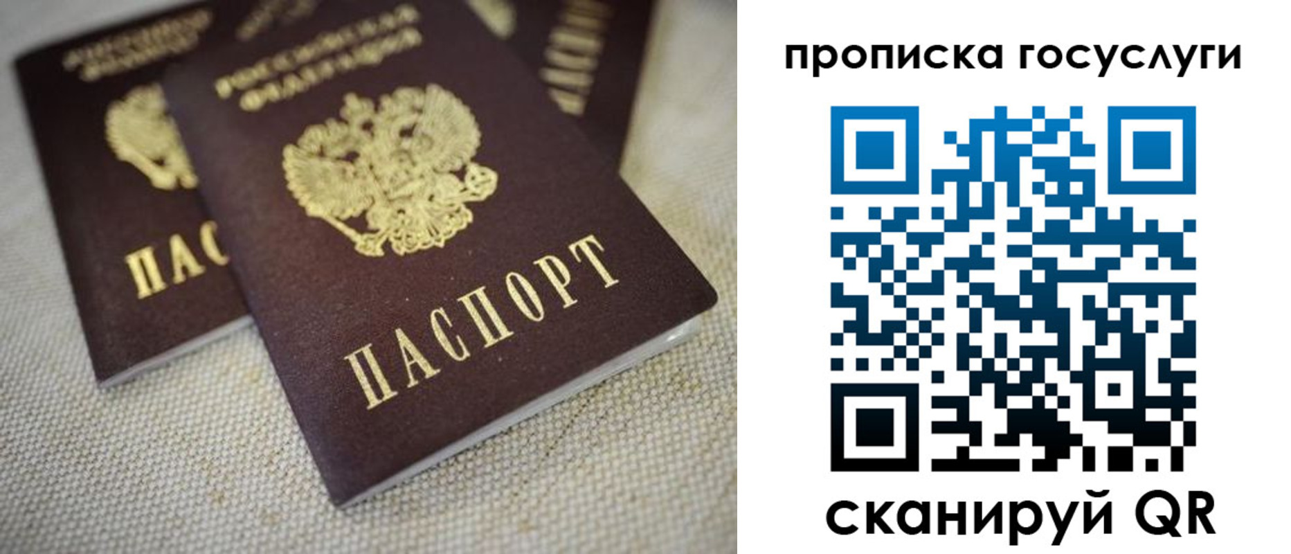 временная регистрация для всех в Курганской области